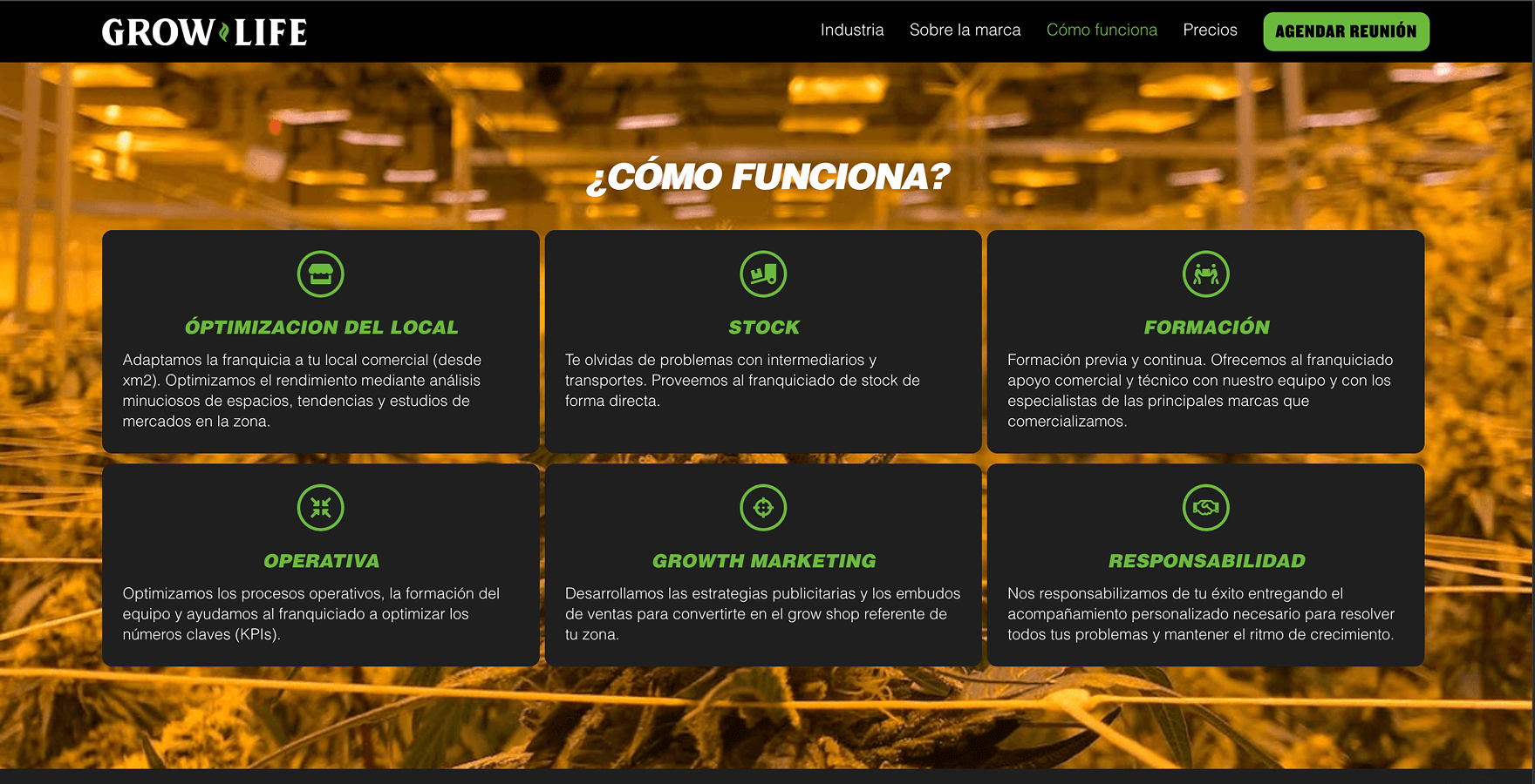 Franquicias Grow Life — screen 2